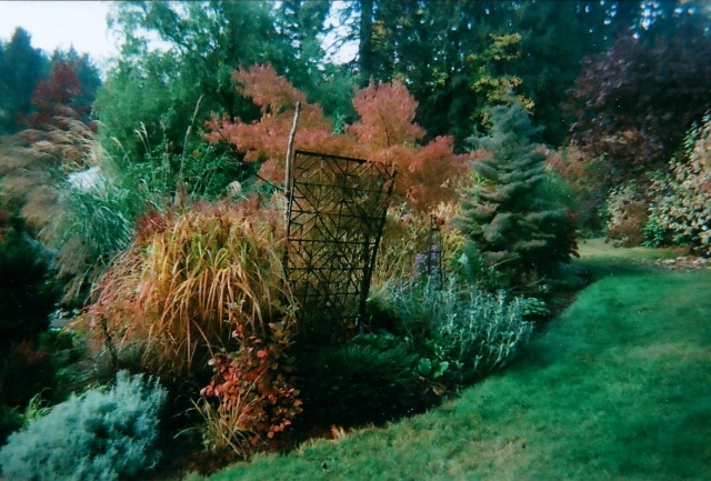 fall garden